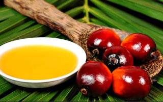 Пальмовое масло (олеин): вред и польза для человека